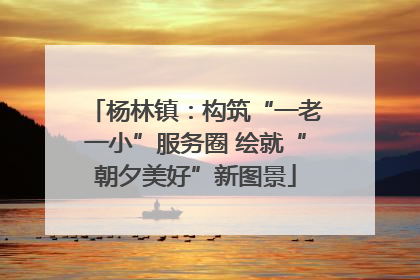 杨林镇：构筑“一老一小”服务圈 绘就“朝夕美好”新图景