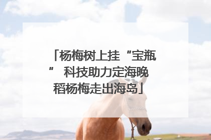 杨梅树上挂“宝瓶” 科技助力定海晚稻杨梅走出海岛