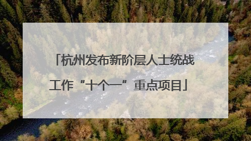 杭州发布新阶层人士统战工作“十个一”重点项目