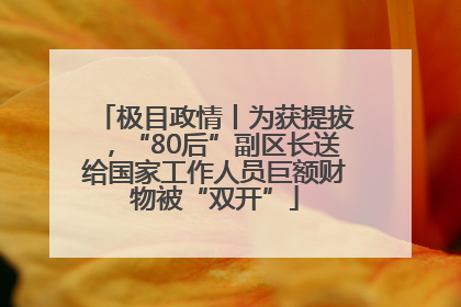 极目政情丨为获提拔，“80后”副区长送给国家工作人员巨额财物被“双开”