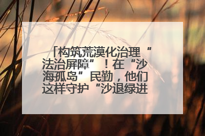 构筑荒漠化治理“法治屏障”！在“沙海孤岛”民勤，他们这样守护“沙退绿进”的生态奇迹