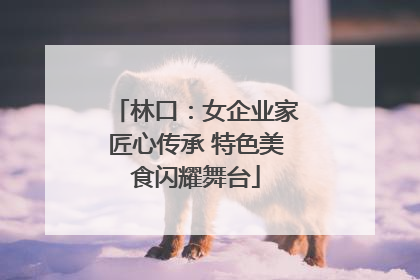 林口：女企业家匠心传承 特色美食闪耀舞台
