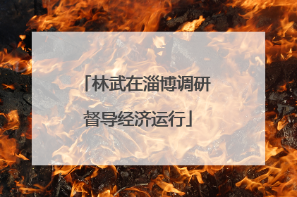 林武在淄博调研督导经济运行
