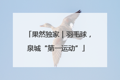 果然独家｜羽毛球，泉城“第一运动”