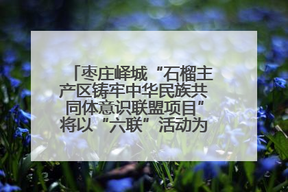 枣庄峄城“石榴主产区铸牢中华民族共同体意识联盟项目”将以“六联”活动为抓手深化品牌建设