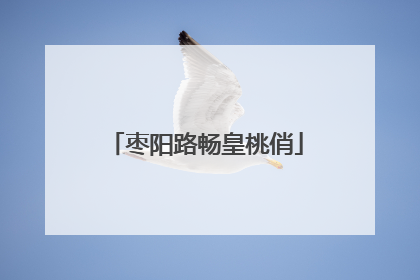 枣阳路畅皇桃俏