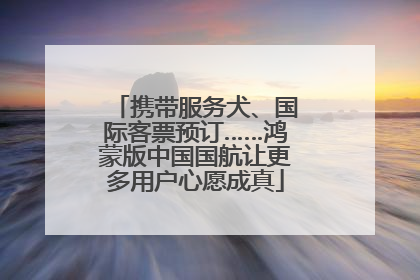 携带服务犬、国际客票预订……鸿蒙版中国国航让更多用户心愿成真