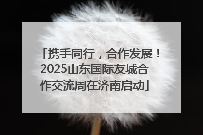 携手同行，合作发展！2025山东国际友城合作交流周在济南启动