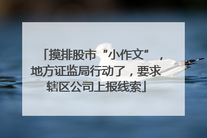 摸排股市“小作文”，地方证监局行动了，要求辖区公司上报线索