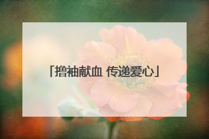 撸袖献血 传递爱心