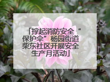 撑起消防安全“保护伞”杨园街道柴东社区开展安全生产月活动
