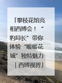 攀枝花馆亮相西博会！“豹局长”带你体验“暖暖花城”独特魅力｜西博视界