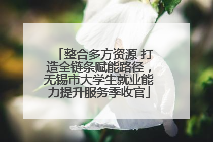 整合多方资源 打造全链条赋能路径，无锡市大学生就业能力提升服务季收官