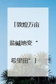 敦煌万亩盐碱地变“希望田”