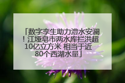 数字孪生助力澧水安澜！江垭皂市两水库拦洪超10亿立方米 相当于近80个西湖水量