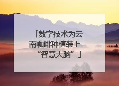 数字技术为云南咖啡种植装上“智慧大脑”