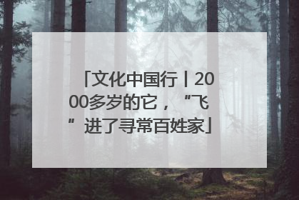文化中国行丨2000多岁的它，“飞”进了寻常百姓家