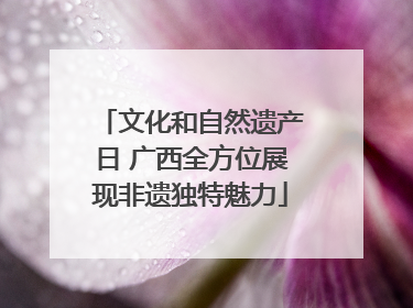 文化和自然遗产日 广西全方位展现非遗独特魅力