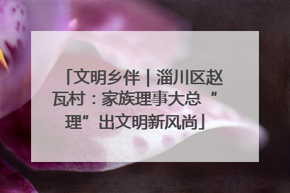 文明乡伴｜淄川区赵瓦村：家族理事大总“理”出文明新风尚