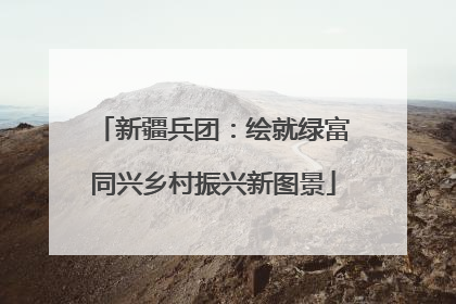 新疆兵团：绘就绿富同兴乡村振兴新图景