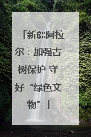 新疆阿拉尔：加强古树保护 守好“绿色文物”