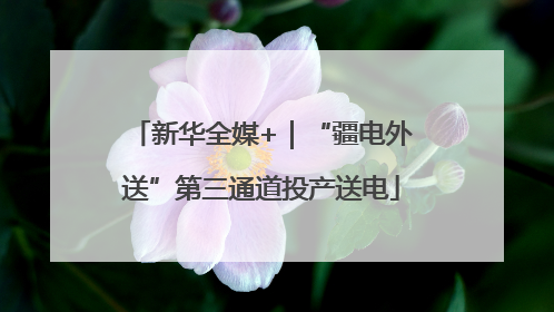 新华全媒+｜“疆电外送”第三通道投产送电