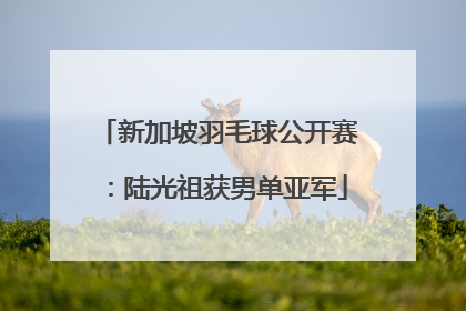 新加坡羽毛球公开赛：陆光祖获男单亚军
