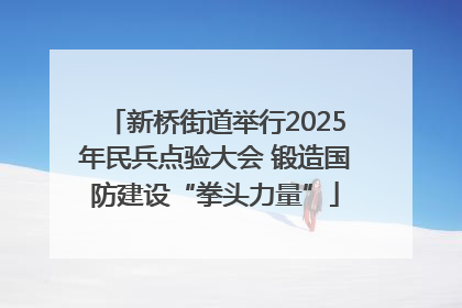 新桥街道举行2025年民兵点验大会 锻造国防建设“拳头力量”