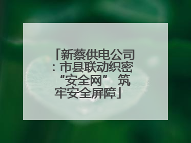 新蔡供电公司：市县联动织密“安全网” 筑牢安全屏障