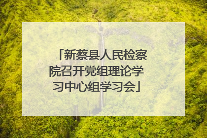 新蔡县人民检察院召开党组理论学习中心组学习会