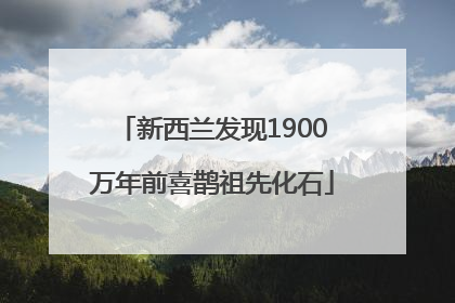 新西兰发现1900万年前喜鹊祖先化石