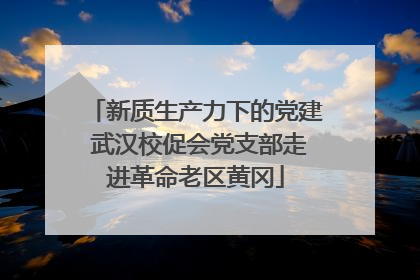 新质生产力下的党建 武汉校促会党支部走进革命老区黄冈