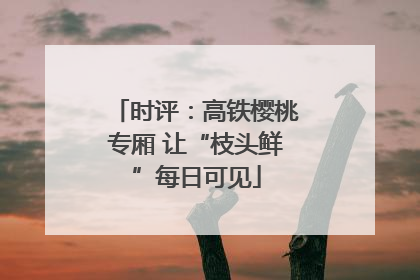 时评：高铁樱桃专厢 让“枝头鲜”每日可见