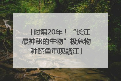 时隔20年！“长江最神秘的生物”极危物种鳤鱼重现赣江