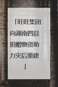 旺旺集团向湖南四县捐赠物资助力灾后重建
