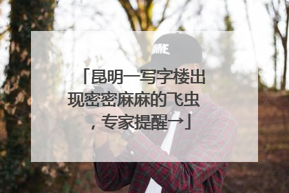 昆明一写字楼出现密密麻麻的飞虫，专家提醒→