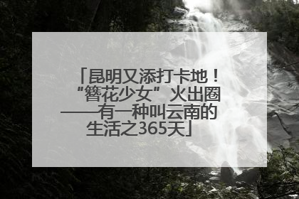 昆明又添打卡地！“簪花少女”火出圈——有一种叫云南的生活之365天