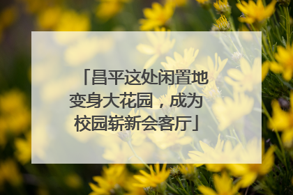 昌平这处闲置地变身大花园，成为校园崭新会客厅