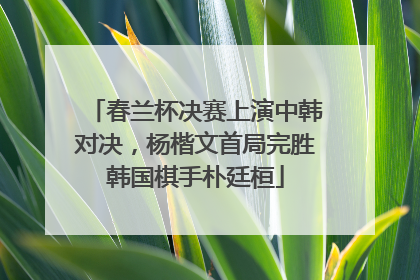 春兰杯决赛上演中韩对决，杨楷文首局完胜韩国棋手朴廷桓
