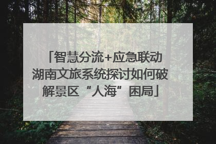 智慧分流+应急联动 湖南文旅系统探讨如何破解景区“人海”困局