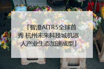 智澄AITR5全球首秀 杭州未来科技城机器人产业生态加速成型