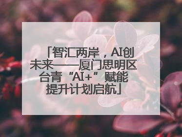 智汇两岸，AI创未来——厦门思明区台青“AI+”赋能提升计划启航