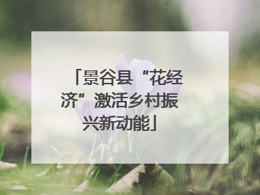 景谷县“花经济”激活乡村振兴新动能