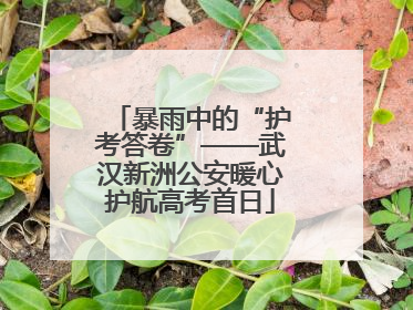 暴雨中的“护考答卷”——武汉新洲公安暖心护航高考首日