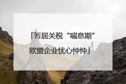 暂居关税“喘息期” 欧盟企业忧心忡忡