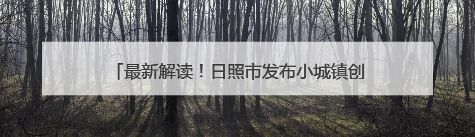 最新解读！日照市发布小城镇创新提升行动试点镇建设实施方案