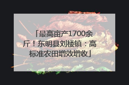 最高亩产1700余斤！东明县刘楼镇：高标准农田增效增收