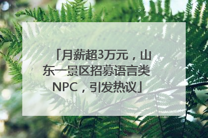 月薪超3万元，山东一景区招募语言类NPC，引发热议