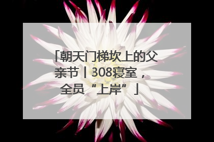朝天门梯坎上的父亲节丨308寝室，全员“上岸”
