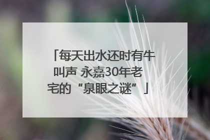 每天出水还时有牛叫声 永嘉30年老宅的“泉眼之谜”
